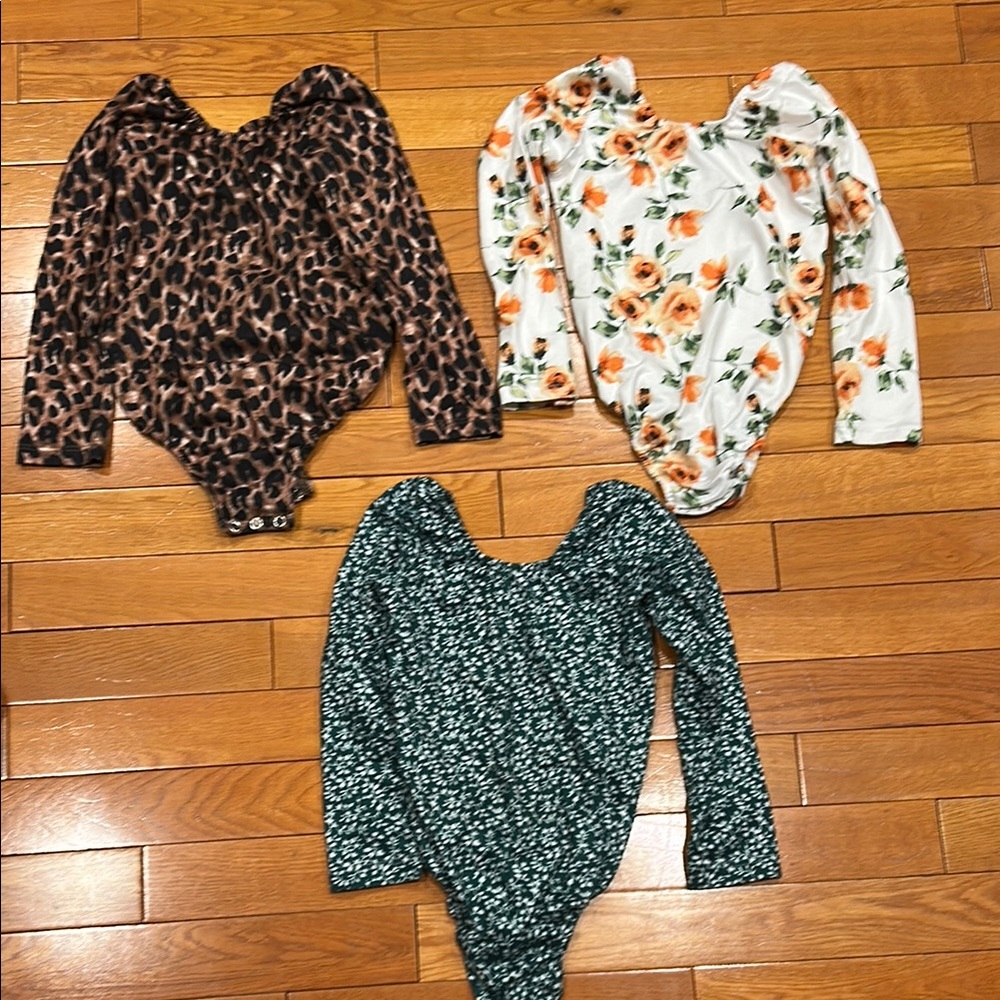 Set of Three Baileys Blossoms, Long Sleeve Bodysuits, 2T